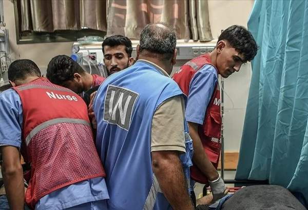 کشته شدن 176 کارمند سازمان ملل از آغاز حملات اسرائیل به غزه