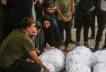 89 more Palestinians killed in Gaza as Israeli onslaught continues