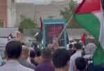 شوارع البحرين تشهد مسيرات حاشدة تضامنًا مع غزّة