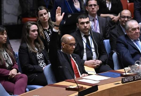 US veto on full Palestine membership casts more doubt on UN