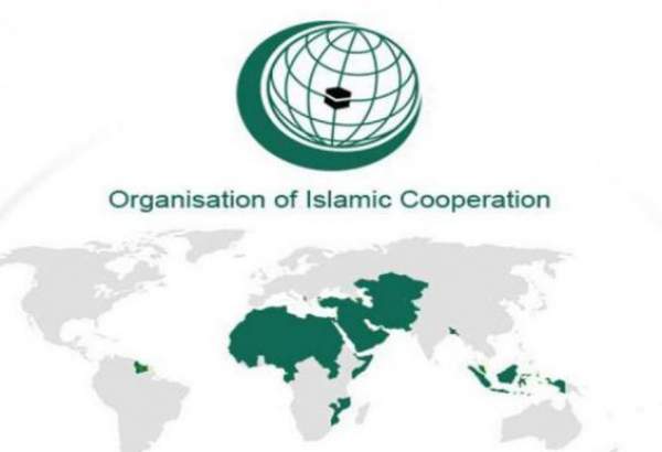 سازمان همکاری اسلامی حمله تروریستی به مسجدی در هرات را محکوم کرد