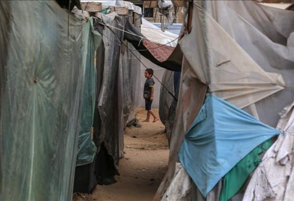 Israeli ground operation in Rafah would be humanitarian catastrophe: WHO