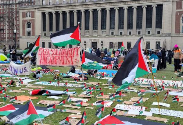 Humanity at Its Best: Why are US Students Rising for Gaza?