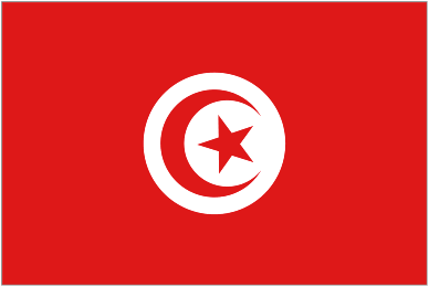 بررسی جایگاه دین در قانون اساسی جدید تونس
