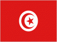 بررسی جایگاه دین در قانون اساسی جدید تونس