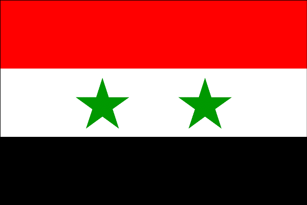 اصلاحات مهم قانون اساسي جديد سوريه