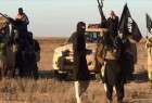 Terrorist ISIL militants execute 10 in Iraq Kurdish village