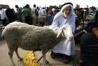 No Eid al-Adha joy for Palestinians in Gaza