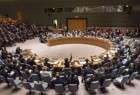 Palestine under pressure to back down statehood bill: FM