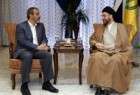 دیدار عمار حکیم با سفیر ایران در عراق