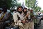 Taliban terrorists abduct 20 Shias in central Afghanistan