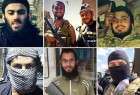 50 Britons killed fighting for Syria and Iraq militants