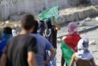 Young Palestinians clash with Zionist forces in the Occupied Palestine (photo)  <img src="/images/picture_icon.png" width="13" height="13" border="0" align="top">