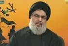Hezbollah fully supports Palestinian cause: Nasrallah