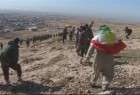 Kurdish forces take control of Sinjar: Massoud Barzani