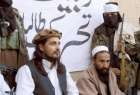 مخالفت طالبان پاکستان با ادعای خلافت بغدادی