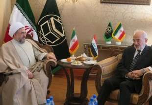 دیدار وزیر امور خارجه عراق با آیت الله اراکی