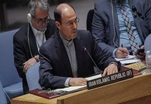 شورای امنیت از حل بحران فلسطین ناتوان است