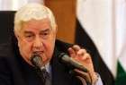 Syria FM warns against any foreign ‘ground intervention’