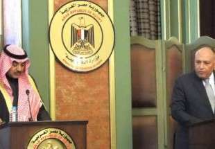 مخالفت کویت و مصر با دخالت نظامی در سوریه