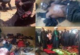 عفو بین‌الملل ارتش نیجریه را به کشتار شیعیان متهم کرد
