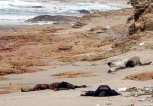 کشف اجساد 133 مهاجر در سواحل لیبی