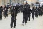 Western ISIL members seek help to return home