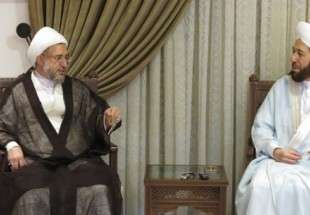 Ayatollah Araki thanks Syria for standing by resistance