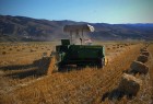 Iran expects first wheat export in years