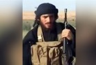 ISIL spokesman reportedly killed in Aleppo