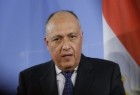 تباين الموقف المصري مع السعودية حول الازمة السورية