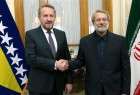 Global resolve pivotal in terror fight: Larijani