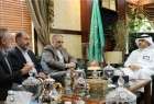رئيس الوفد القنصلي الايراني يلتقي وكيل وزارة الحج السعودية