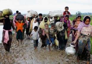OIC calls for immediate end to Rohingya Muslims plight