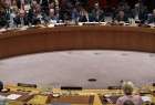 Seven countries demand UNSC to hold meeting on Rohingyas