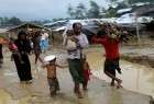 الأمم المتحدة: 515 ألف روهنغي في بنغلاديش