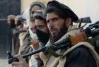 الداخلية الأفغانية: مقتل وإصابة ٢٧ طالباني بضربة جوية