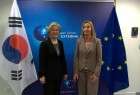 EU, S.Korea stresses prime importance of Iran