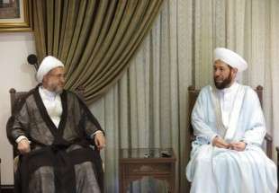 ​تأکید آیت الله اراکی و مفتی اعظم سوریه بر افزایش همکاری‌های مذهبی و تقریبی