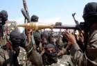 الجيش النيجيري يأسر 167 مسلحا في عملية ضد "بوكو حرام"