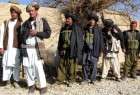 روسيا مستعدة لتقديم منصة للحوار بين الحكومة الأفغانية والمعارضة المسلحة