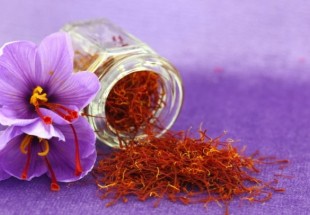 Iran aims to form leading brand for saffron