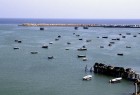 إقامة منتدى "الإستثمار والتنمية المستدامة" لسواحل مكران الايرانية المطلة على بحر عمان