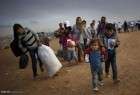 بازگشت ۵۰۰ خانواده آواره سوری به حومه جنوب غربی دمشق