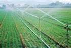 تنفيذ مشروع الري الحديث في 122 ألف هكتار من الاراضي الزراعية
