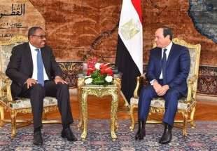 Egyptian President Abdel Fattah el-Sisi (R) meets with Ethiopian Prime Minister Hailemariam Desalegn at the Presidential Palace in the capital, Cairo, January 18, 2018. (Photo by AFP)