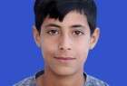 Palestinian teenager shot dead by Israeli soldiers in West Bank