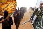 درگیری میان عناصر گروه تروریستی داعش و طالبان