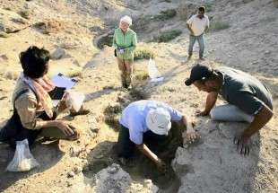 Iraq heavy rain uncovers trove of ancient artefacts