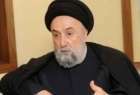 حزب الله و ایران نماینده مذهب شیعه نیستند